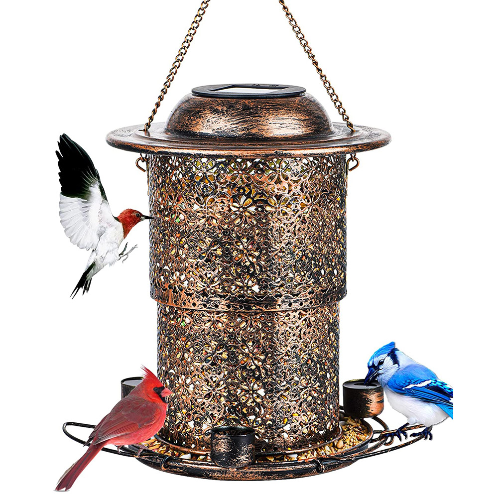 Bird1.jpg